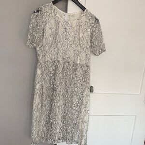 Elegant Lace Overlay Dress